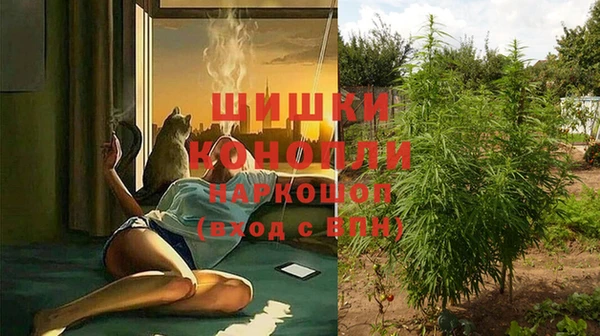МДПВ Россошь