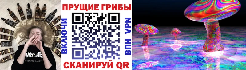 Галлюциногенные грибы мухоморы ссылка на мегу ТОР Саянск