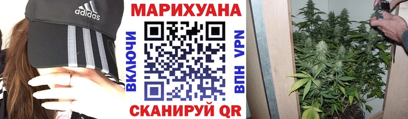 Марихуана OG Kush  Саянск 